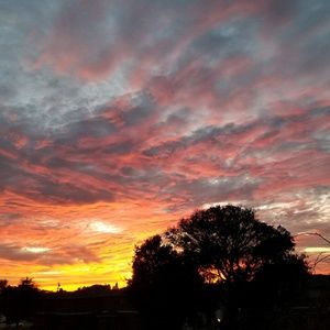 Meet your Posher, Claudia